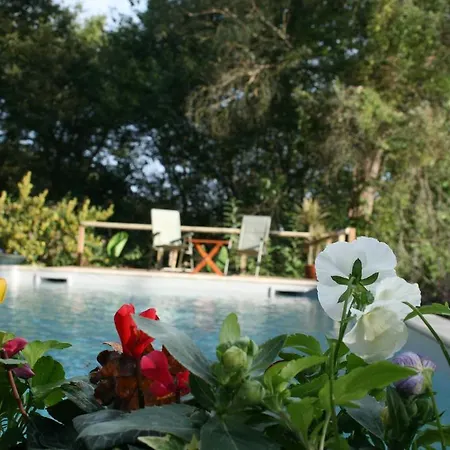 Bed and breakfast Callari Park Barcus